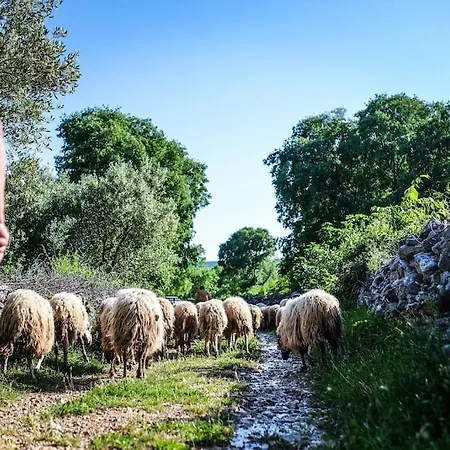 Stone House Kula Milica