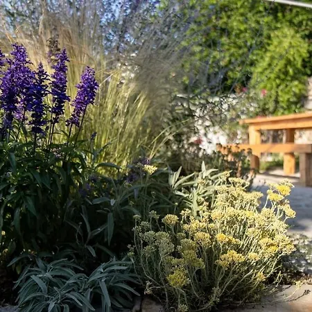 Stone House Kula Milica