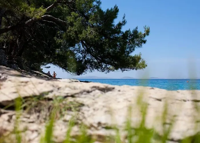 Stone House Kula Milica Mala Cista