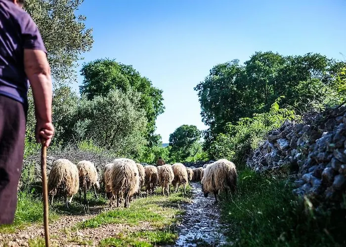 Stone House Kula Milica