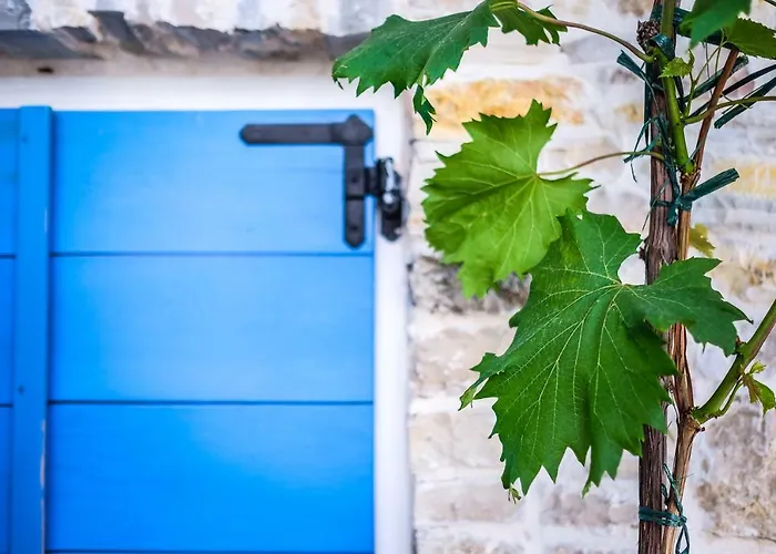 Сasa de vacaciones Stone House Kula Milica *